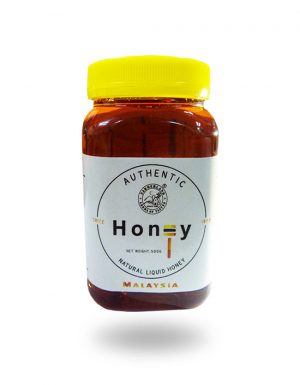 Famerland Natural Honey 500g